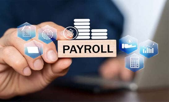 kimiyagar human source payroll